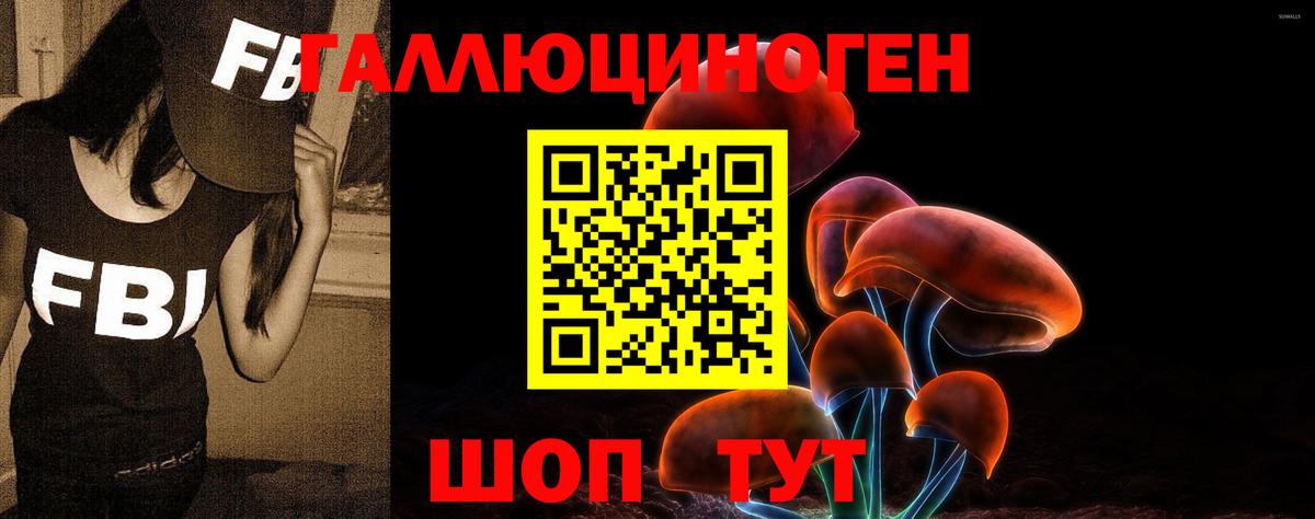 Псилоцибиновые грибы Cubensis Кисловодск