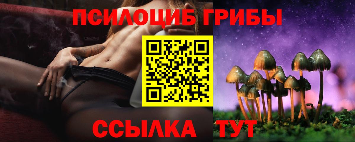 Кисловодск  Псилоцибиновые грибы Psilocybine cubensis  Вход с VPN  где можно купить наркотик  Псилоцибиновые грибы Psilocybine cubensis 